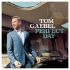 Tom-Gaebel - Perfect Day