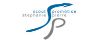 Scout-Promotion